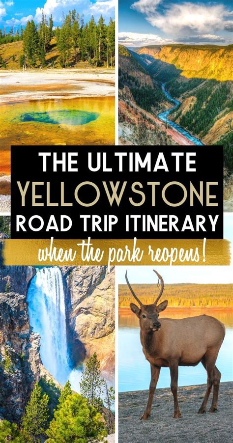 plan a trip to yellowstone park